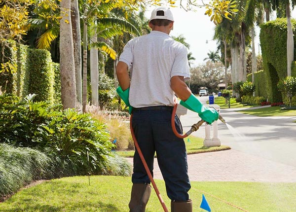 About East Rockaway NY Pest Control